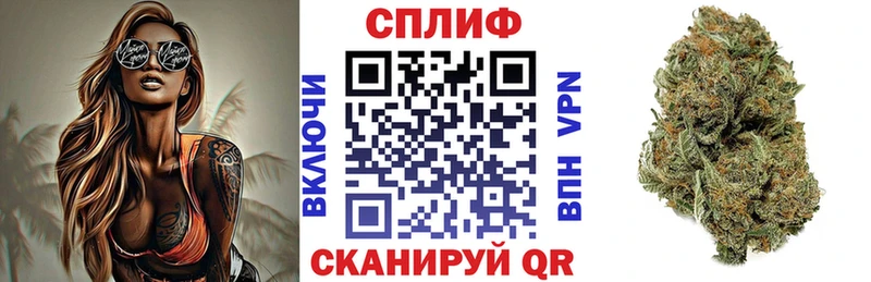 Бошки марихуана конопля  цены наркотик  Болхов 